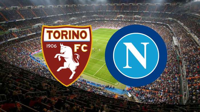 Torino vs Napoli Madrid Football Prediction, Betting Tip & Match Preview